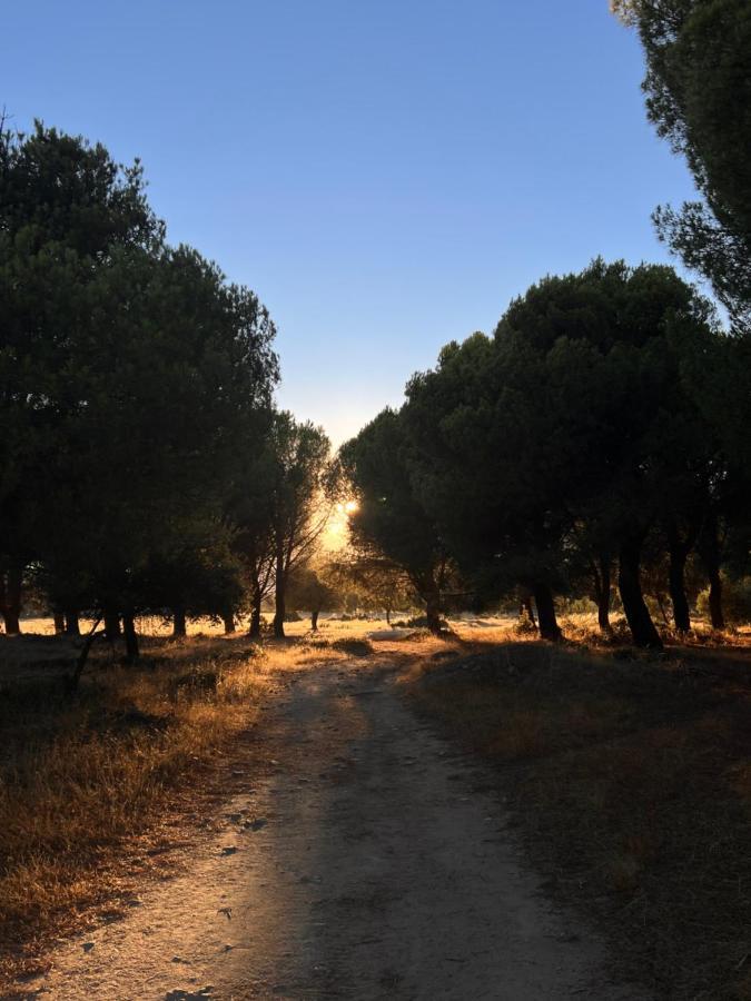 Posada Rural La Resinera La Adrada Ngoại thất bức ảnh