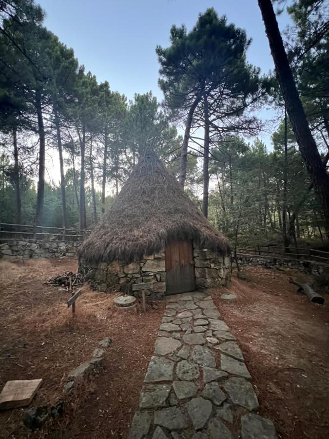 Posada Rural La Resinera La Adrada Ngoại thất bức ảnh