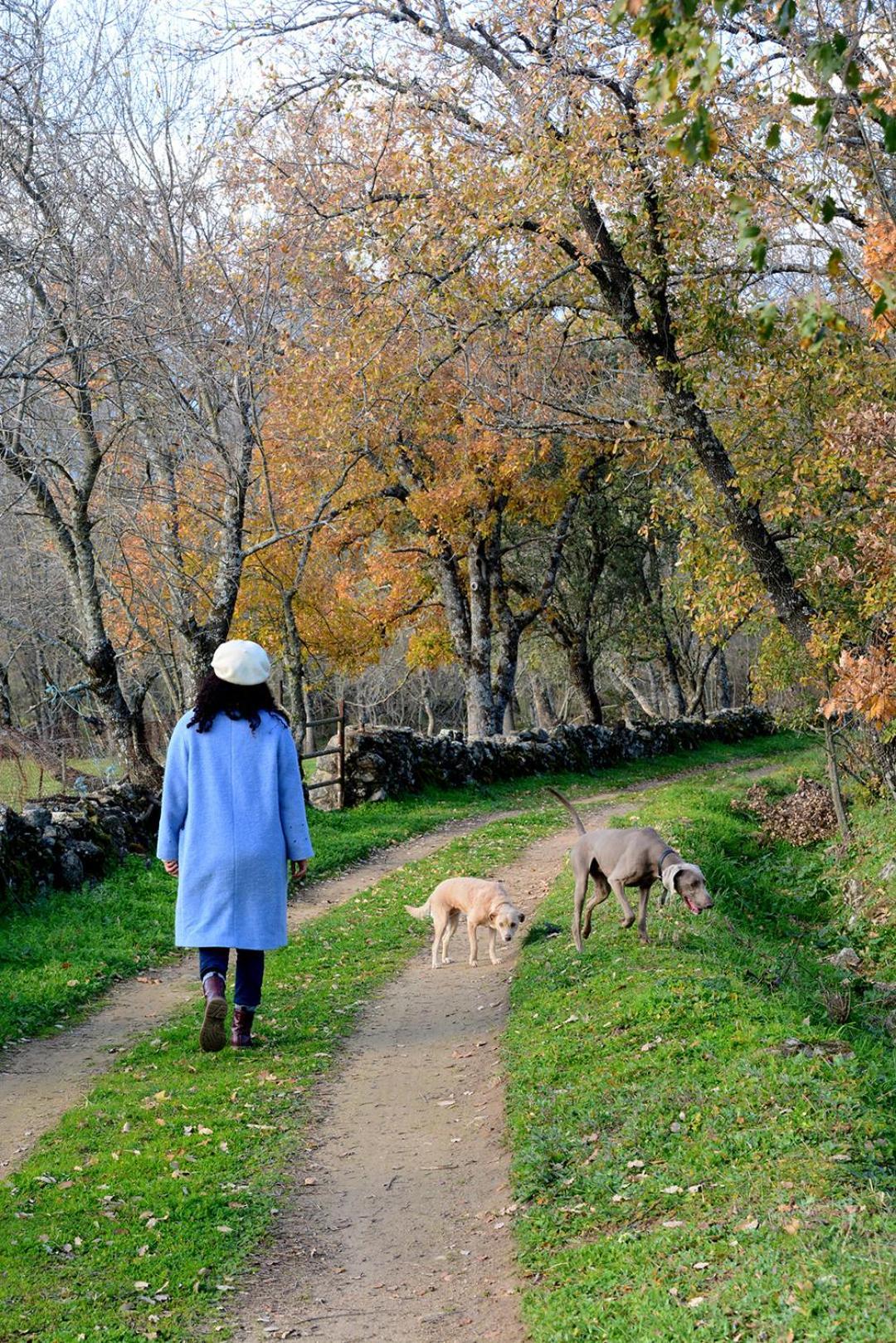 Posada Rural La Resinera La Adrada Ngoại thất bức ảnh